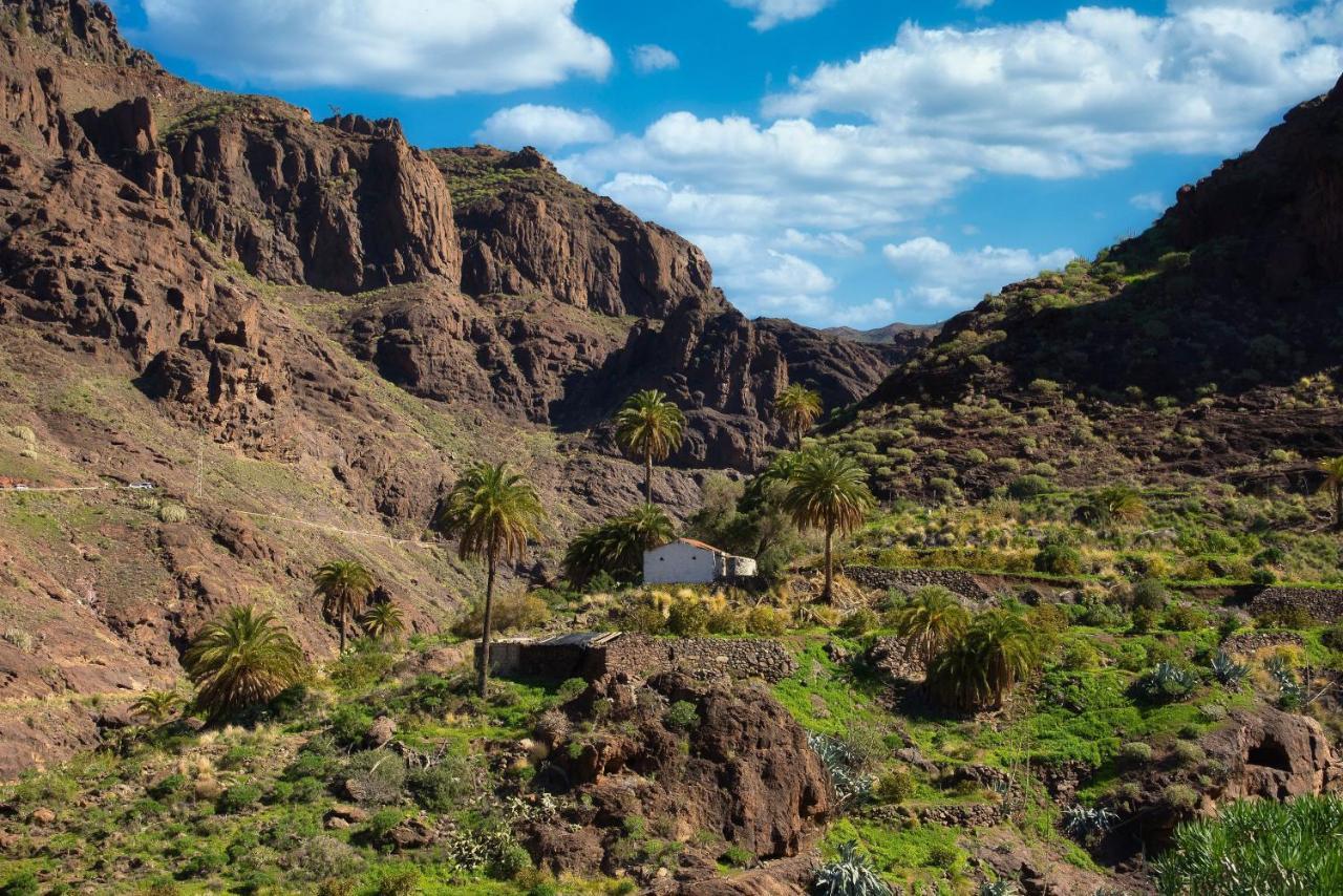 Dragonfly House Atlantico Vecindario (Gran Canaria) Exterior photo